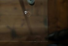 caller abandonment service analysis