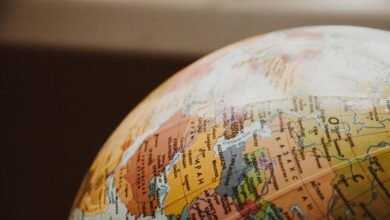 international service research study