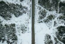 seasonal increase in calls
