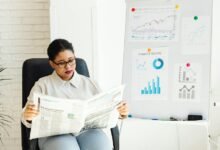 kashyeportazza ltd updates release